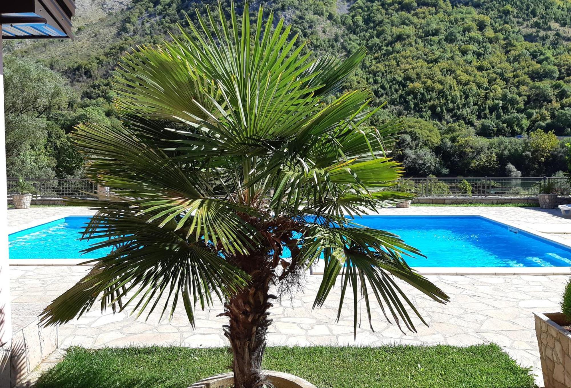 הוילה Buna Hacienda Neretva מראה חיצוני תמונה